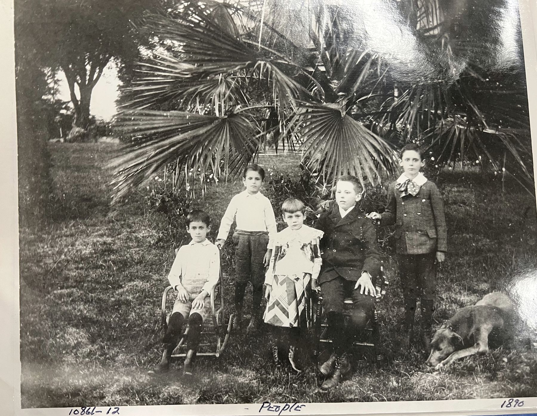 Five Dear children under palms, 1890